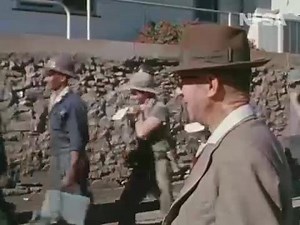 2.9K views · 80 reactions | This film made by the Commonwealth Film...