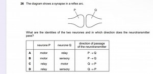 26 The diagram shows a synapse in a reflex arc.What are the i... | Filo