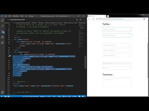 173 Inputs et Textarea