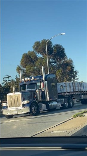 1998 Peterbilt 379 Sleeper Truck