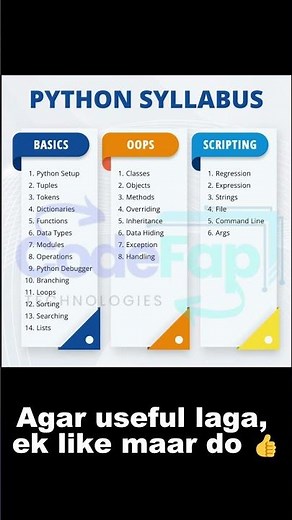 YOUR 3-STEP PYTHON MASTERY PLAN! 🐍 (Basics, OOP, Scripting)