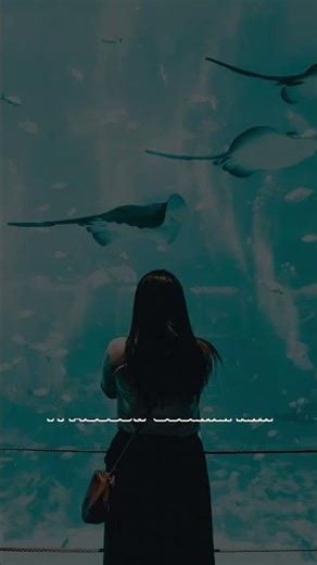 Top 10 Coolest Aquariums You Have To See!