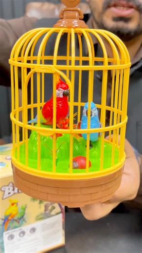 Toy Company on Instagram: "𝗕𝗮𝘁𝘁𝗲𝗿𝘆 𝗢𝗽𝗲𝗿𝗮𝘁𝗲𝗱 𝗞𝗶𝗱𝘀 𝗣𝗿𝗲𝘁𝘁𝘆 𝗕𝗶𝗿𝗱 𝗖𝗮𝗴𝗲 𝗪𝗶𝘁𝗵 𝗟𝗶𝗴𝗵𝘁 & 𝗠𝘂𝘀𝗶𝗰 This adorable bird cage toy features cute mini birds, brilliant lighting, and cheerful music that keeps kids happily engaged. 𝗦𝗵𝗼𝗽 𝗡𝗼𝘄: https://www.toycompany.pk/search?q=Bird+Cage . . . . #KidsToys #BirdCageToy #LightAndMusic #FunForKids #BatteryOperated #CuteToys #GiftForKids #toycompanypk"