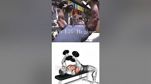 John Cena Triceps Routine: Get Stronger and Bigger Like The Champ