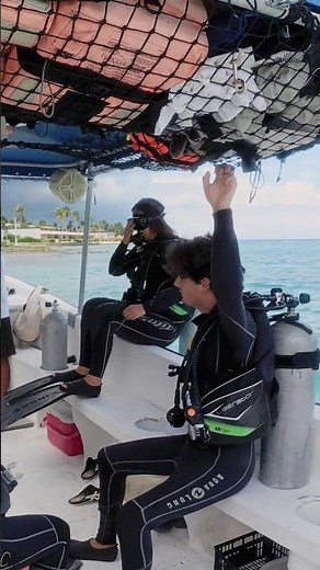 Learn to Dive in Cozumel | DSD, DSD Plus & Certifications with PonteBuzo Mexico