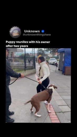 Dogs are among the most loving and faithful animals on Earth. They show unconditional affection, loyalty, and protection to their owners, often forming deep emotional bonds that last a lifetime. Whether it’s wagging their tails when you come home, sitting beside you when you’re sad, or guarding your home with devotion, dogs never fail to express their love in countless ways. Their companionship brings comfort, happiness, and a sense of security that few other relationships can match. Follow us @