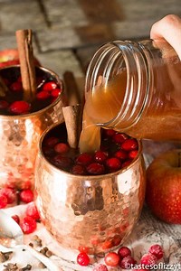 Spiced Cranberry Apple Cider