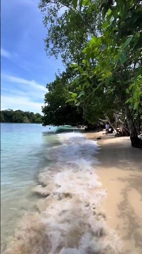 🇵🇬 Beauty of Madang 🌴