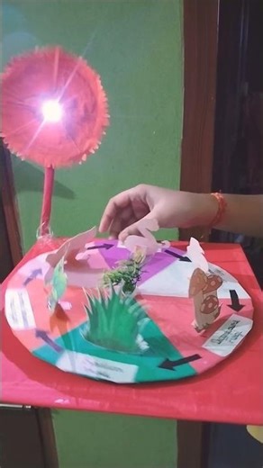 Food chain model , food chain project model #foodchainmodel#foodchain #schoolproject