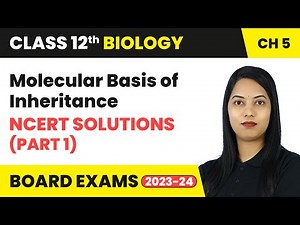 Molecular Basis of Inheritance- NCERT Solutions (Part 1) | Class 12 Biology Chapter 5 | CBSE 2024-25