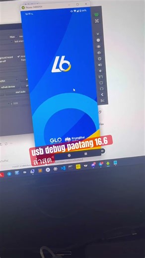 Usb debugging เป๋าตัง16.6