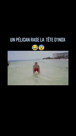 @inoxtag Ta eu chaud mdr #teamcrouton #fypシ #mexique #cancun #pourtoi #vacances #mecxico #villa