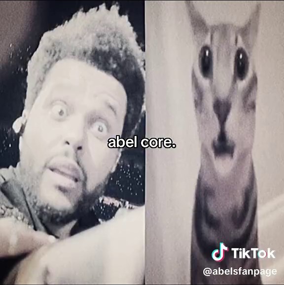 Exploring The Weeknd's Evolution and Artistic Vision