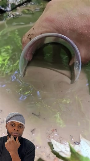 Essential Jungle Survival Hacks for Adventurers