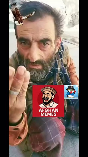 Like, follow and share 🫶🏼 #afghanistan #افغان #افغانستان🇦🇫 #خنده #کمدی #afghan #afg | Afghan Memes