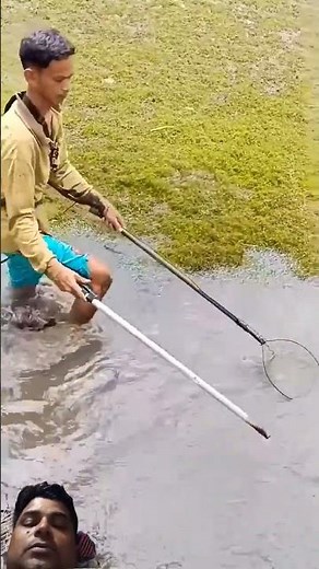 electric shock fishing #electricshockfishing