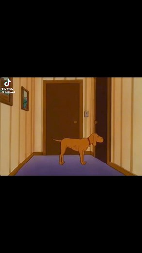 Laaaaaady bird #kingofthehill | King of the Hill Forever