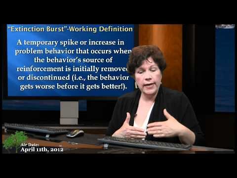 Extinction Burst Defined - Jargon of the Day