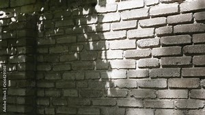 Texture of a stone wall.Leaves shadow on the wall.brick wall for texture background.