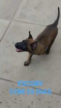 5 de fevereiro de 2026