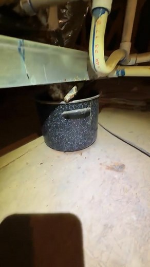 Check these AC issues out!🌡️ A faulty air conditioning system isn't just uncomfortable - it can impact your daily life and peace of mind. During our property inspections, we often find AC issues that could have been caught early. Simple problems like clogged filters, worn belts, or electrical connections can turn into costly repairs if left unchecked. Our thorough inspections help you understand your AC system's condition before small issues become big headaches. We explain everything in clear 