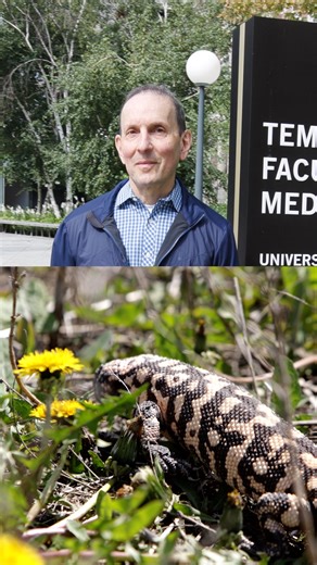 713K views · 819 reactions | You may know Ozempic or Wegovy, but did you know Daniel Drucker, physician, senior investigator Sinai Health & U of T Medicine, helped uncover the GLP-1 science behind them that's transforming lives beyond diabetes & obesity? Learn more at uoft.me/dan-drucker | University of Toronto | Facebook