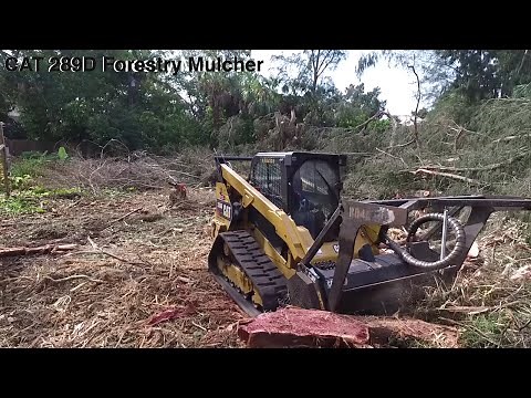 CAT 289D Forestry Mulcher, OnSiteTrav