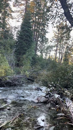 #paratifamiliaticktokerapageforyouviralNaturalezafyp#