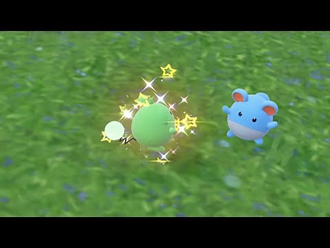 How to Get Shiny Marill | Pokemon Scarlet and Violet