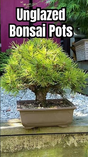 Unglazed Bonsai Pots