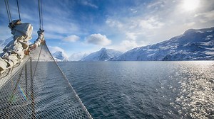 The Mysterious Aquatic Cryptid Spotted in The Arctic | Gaia