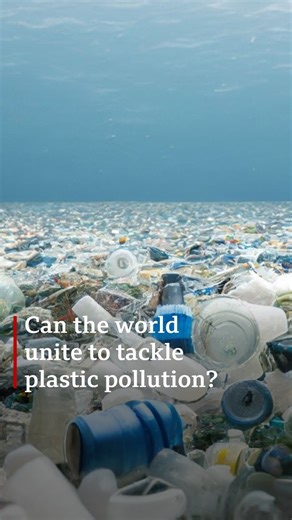 6.9K views · 81 reactions | Since 1950, plastic production has surged, with 20 million tonnes entering oceans yearly. Global negotiators in Busan, South Korea, aim to tackle plastic pollution through cuts in production, recycling, and waste reduction. But can they agree on a solution?  Watch our waste trafficking investigation on YouTube: https://youtu.be/JLrCS6IDejU | BBC World Service | Facebook