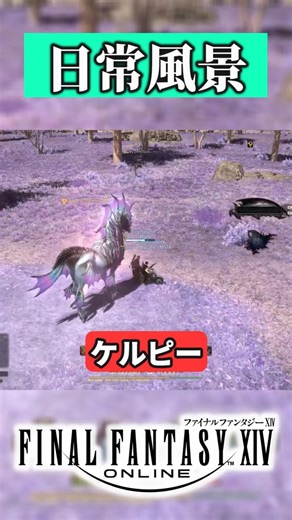 【FF14】新米ヒカセン2人の日常 # 7【ファイナルファンタジーXIV】