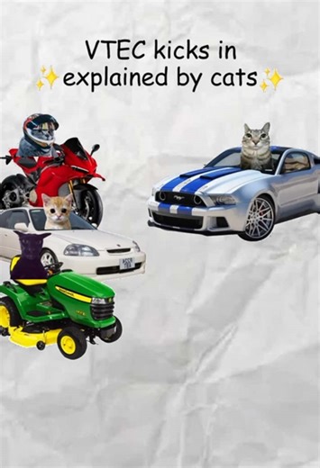 VTEC Kicks In Explained by Cats