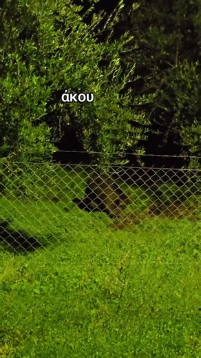 άκου το αγριογουρουνο