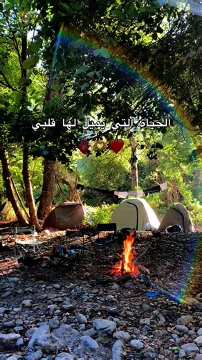 Walid Bouaich on Instagram‎: "الحياة التي يميل لها قلبي 🫶🏻#bivouac #camping #turism #vikings #tourism #alger"‎