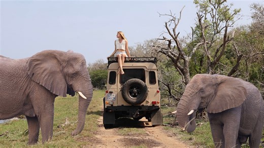 We were attacked by elephants 😱🐘 truck camping alone in Africa