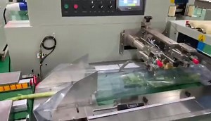 servo packing machine for vegetable WeChat/WhatsApp：+8618703990160 email：ailsa@kingpacksolutions.com This Machine is suitable for packing regular objects, such as biscuits, fruits, candy, moon-cake, bread, bars, dessert, instant noodle, industrial parts, box, trays, face mask, etc | KING PACK Solutions Limited | Facebook