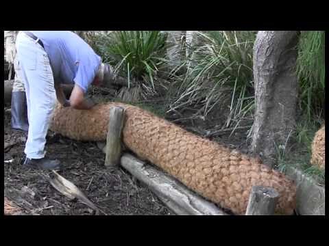 Installing Coir Log Walls to Control Bank Erosion