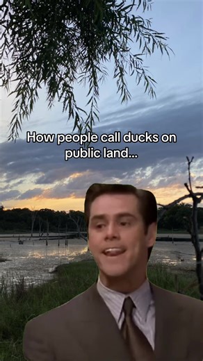 Duck Hunting Practice Tips: Master the Art in 9 Months