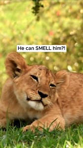 None of the parenting books had explained what to do when your...