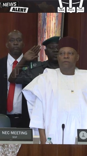 NEC Approves 2026-2030 Medium Term Plan 📈 #RenewedHopePlan #EconomicCouncil #NigeriaProgress #StrategicPlanning #NECUpdate #FutureGoals | NTA Network News