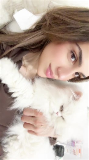 Understanding Persian Cats and Their Unique Traits