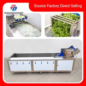 [Hot Item] Industrial Seafood Ozone Washer Fruit Vegetable Ultrasonic Washing Machine Ts-X300