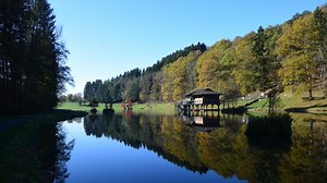 Un but de promenade pour les familles au Domaine de Chevetogne - RTBF Actus