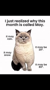 2.6K views | #tuesdayfunny @top fans | Funny and laughable | Facebook