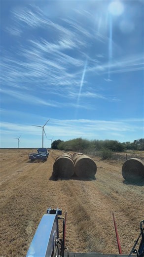 The last cold front and no rain have kept us busy. This buyer had the perfect @agshield multi trailer so we could get a load of 18 from the ground to the trailer in 15 minutes. Hopefully we can watch a little of the game. #ranchoparco #hayforsale #multitrailer #agshield #fordtrucks | Rancho Parco