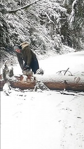 Stihl MS 311 Cold Start in the Snow ❄️🔥