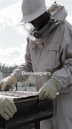 Primal Bee’s insulated, low-maintenance hives reduce colony stress you can double the output and bee population. Grab the Primal Bee Starter Kit at primalbee.com. | Primal Bee