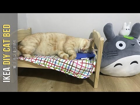 DIY Cat Bed - How To Make A Cat Bed
